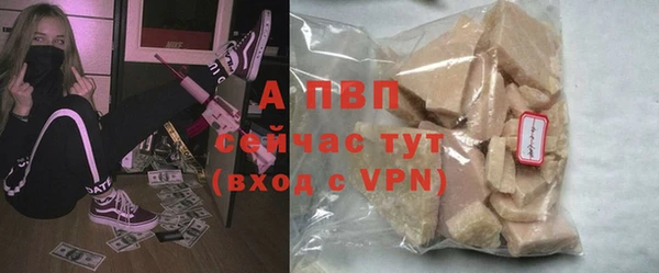 ПСИЛОЦИБИНОВЫЕ ГРИБЫ Приозерск