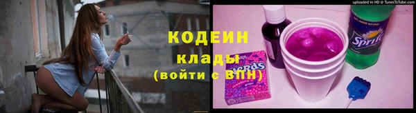 шишки Вяземский