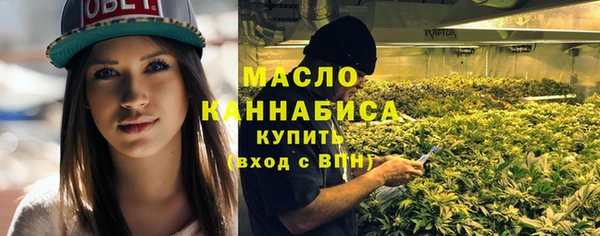 шишки Вяземский