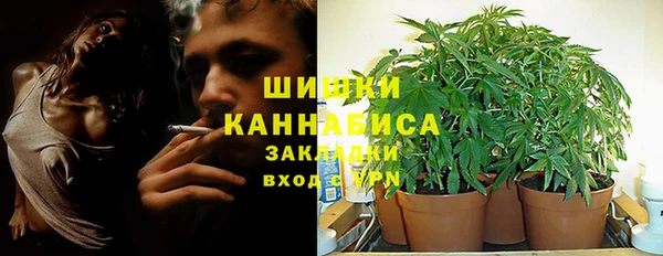 хмурый Верхний Тагил